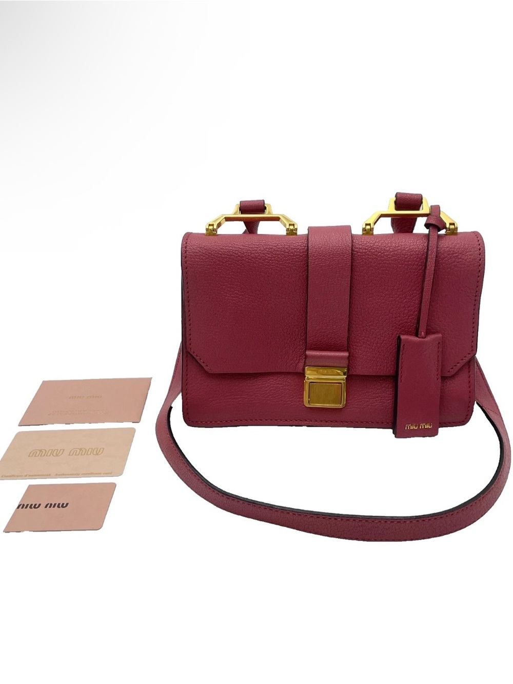 Miu Miu Crossbody Bag